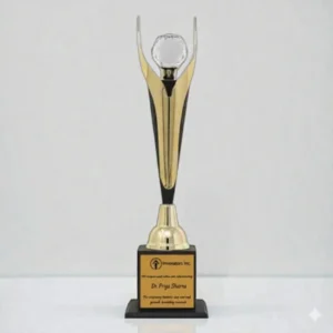 Diamond Black Gold Metal Trophy